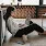 How To Become A Successful Freelancer